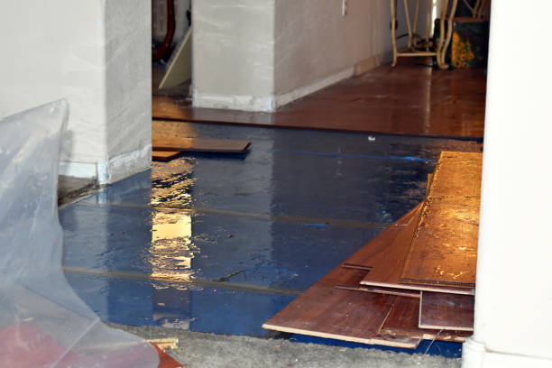 Professional Water Damage technician working in Van Vleck, TX